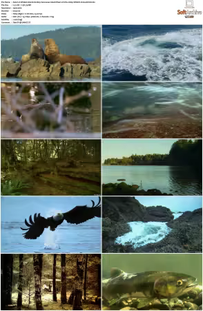 Wildest Islands S01 S02 1080p WEB-DL H264-KUSH