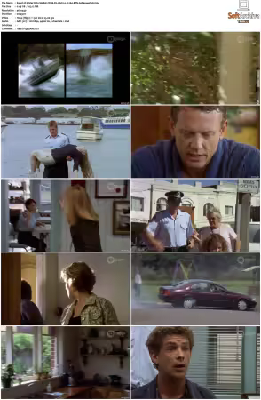 Water Rats S01-S06 WEB-DL AAC2.0 H264-BTN
