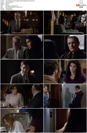 Rizzoli and Isles 2010 S01-S07 1080p NF WEB-DL DDP5.1 AV1-Vialle