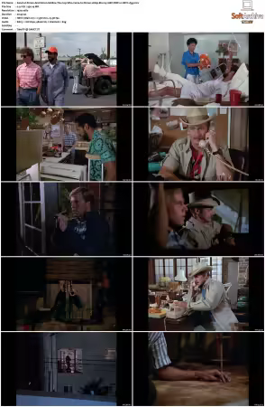 Simon and Simon S01-S08 1080p Blu-ray 10Bit DDP2.0 HEVC-d3g