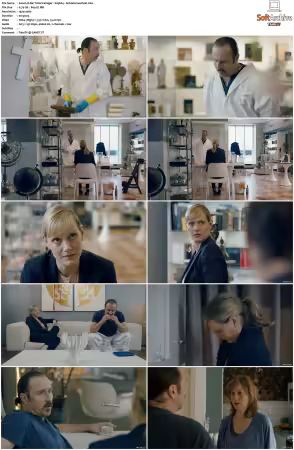 Der Tatortreiniger S01 S07 Complete German 1080p BluRay x264-Scene