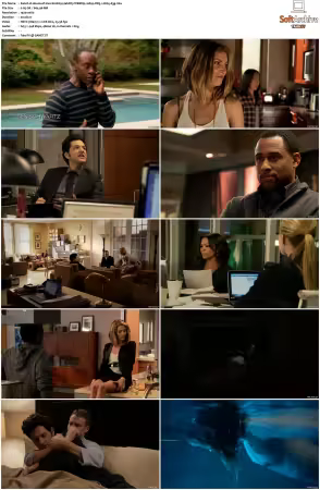 House of Lies S01 S05 WEBRip 1080p DD5.1 H265-d3g