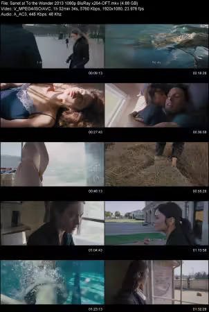 To the Wonder 2013 1080p BluRay x264-OFT