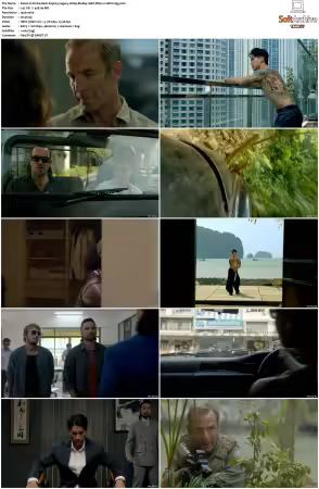 Strike Back S01-S08 1080p BluRay WEBRip 10Bit DDP2.0 HEVC-d3g