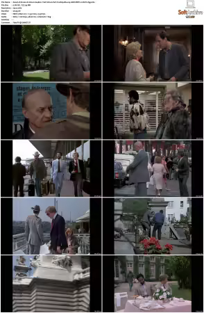Simon and Simon S01-S08 1080p Blu-ray 10Bit DDP2.0 HEVC-d3g
