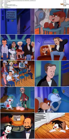 Animaniacs 1993 S01-S05 1080p UPSCALED DD 5.1 x265-EDGE2020