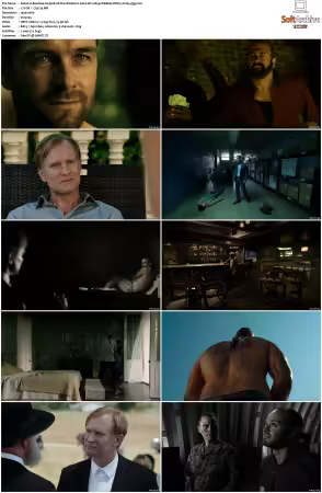 Banshee S01 S04 1080p WEBRip DDP5.1 H265-d3g