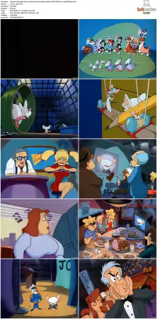 Animaniacs 1993 S01-S05 1080p UPSCALED DD 5.1 x265-EDGE2020