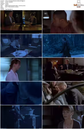 Waking The Dead S01-S09 DVDRip XviD-Mixed