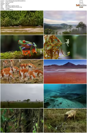 Wild Sky S01 2160p WEB h265-BAWD