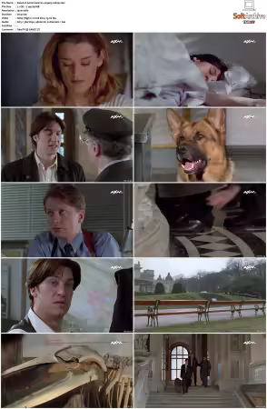 Kommissar Rex S01 S10 German 1080p HDTV x264-OMGtv