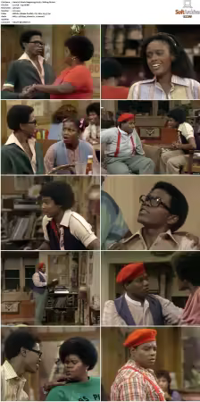 Whats Happening S01-S03 DVDRip XviD-NGP