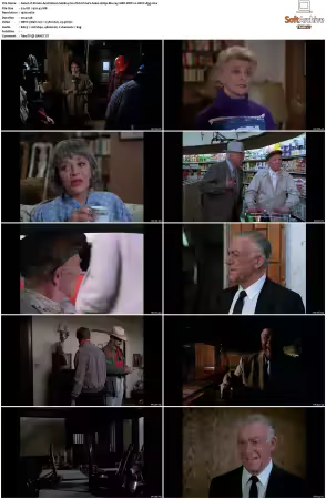 Simon and Simon S01-S08 1080p Blu-ray 10Bit DDP2.0 HEVC-d3g