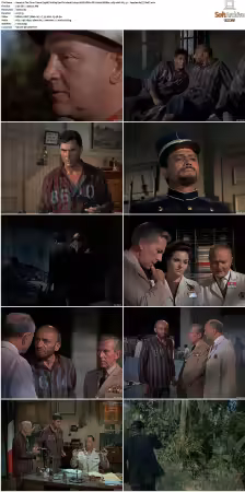 The Time Tunnel 1966 S01 2160p AIUS HDR10 DV Hybrid BDRip x265 10bit AC3 5 1 - Species180 TAoE