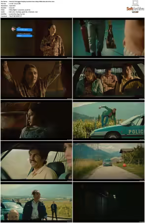 Tschugger S01 S04 GERMAN 1080p WEB H264-Mixed