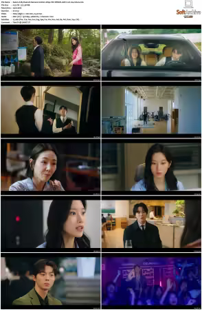 My Dearest Nemesis S01 1080p VIKI WEB-DL AAC2.0 H264-SiGLA