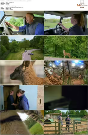 Animal Park S25 1080p iP WEB-DL AAC2.0 H264-AEK