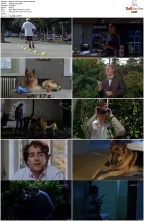 Kommissar Rex S01-S10 German 1080p HDTV x264-OMGtv