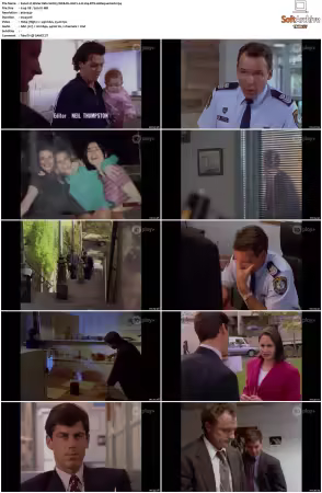 Water Rats S01 S06 WEB-DL AAC2.0 H264-BTN