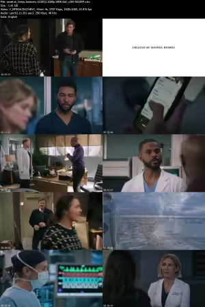 Greys Anatomy S22E12 1080p AMZN WEB AAC x265-NOGRP
