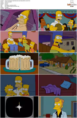 The Simpsons S19 1080p Web-DL x264-OFT