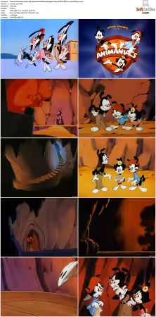 Animaniacs 1993 S01-S05 1080p UPSCALED DD 5.1 x265-EDGE2020