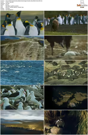 Wildest Islands S01 S02 1080p WEB-DL H264-KUSH