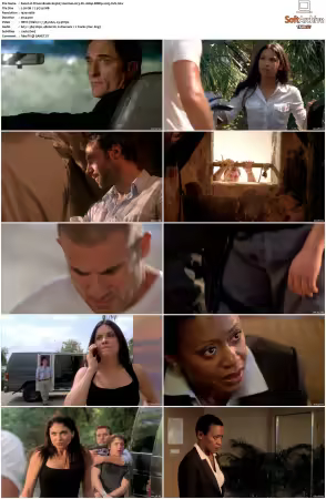 Prison Break S01-S05 German AC3 DL 1080p BDRip x265-FuN
