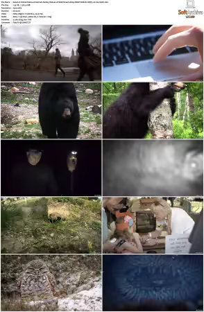 United States of Animals S01 1080p DSNP WEB-DL DDP5.1 H264-Sloth
