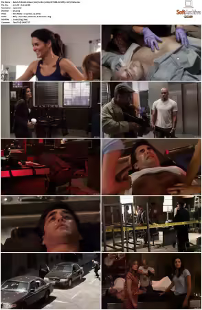 Rizzoli and Isles 2010 S01-S07 1080p NF WEB-DL DDP5.1 AV1-Vialle