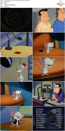 Animaniacs 1993 S01-S05 1080p UPSCALED DD 5.1 x265-EDGE2020