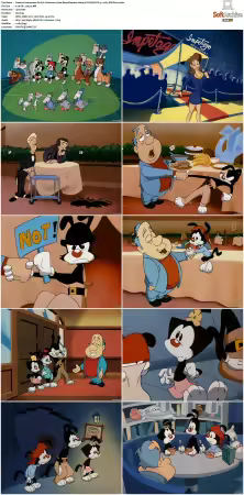 Animaniacs 1993 S01-S05 1080p UPSCALED DD 5.1 x265-EDGE2020