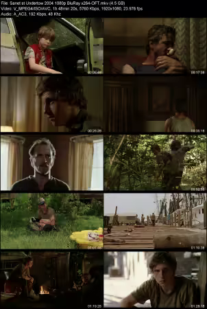 Undertow 2004 1080p BluRay x264-OFT