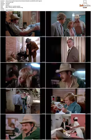 Simon and Simon S01-S08 1080p Blu-ray 10Bit DDP2.0 HEVC-d3g