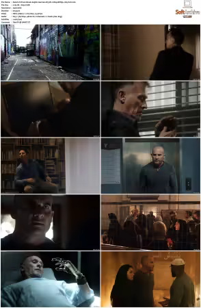 Prison Break S01-S05 German AC3 DL 1080p BDRip x265-FuN