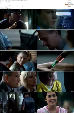 Prison Break S01 S05 German AC3 DL 1080p BDRip x265-FuN