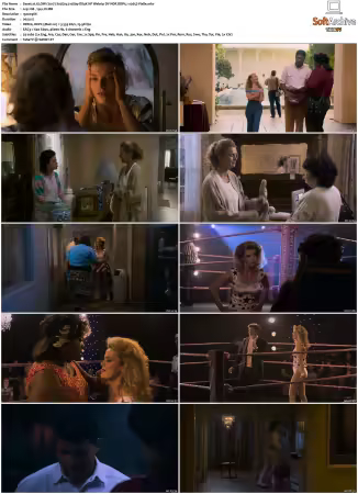 GLOW 2017 S01 S03 1080p DS4K NF Webrip DV HDR DDP5 1 x265-Vialle