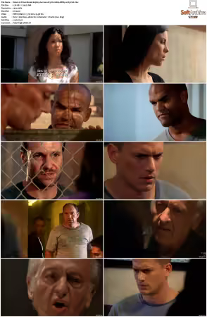 Prison Break S01-S05 German AC3 DL 1080p BDRip x265-FuN