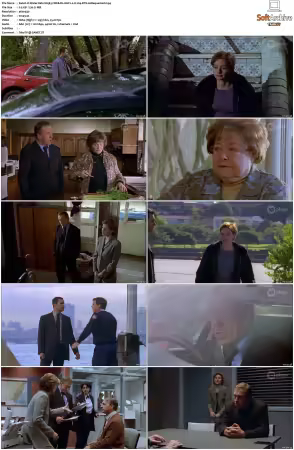 Water Rats S01-S06 WEB-DL AAC2.0 H264-BTN