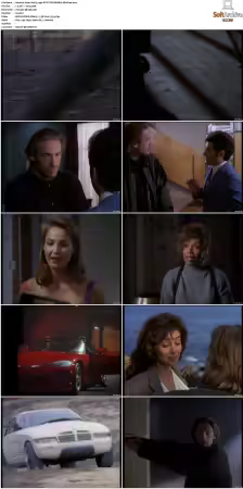Viper 1994 S01 S04 NTSC DVD REMUX-SCENE