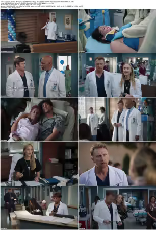 Greys Anatomy S22E14 1080p DSNP WEB-DL DDP5 1 H 264-NTb