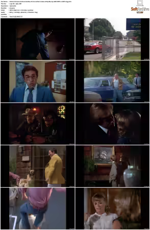 Simon and Simon S01 S08 1080p Blu-ray 10Bit DDP2.0 HEVC-d3g