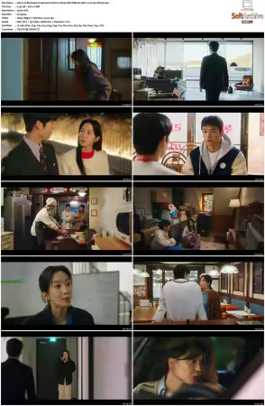 My Dearest Nemesis S01 1080p VIKI WEB-DL AAC2.0 H264-SiGLA