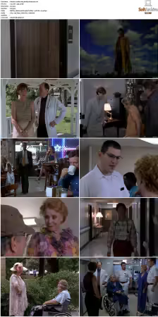 Walker Texas Ranger S01-S09 DVDRip XviD-Mixed