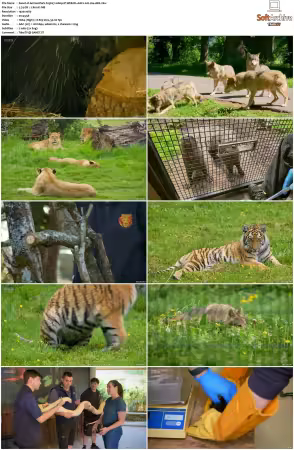 Animal Park S25 1080p iP WEB-DL AAC2.0 H264-AEK
