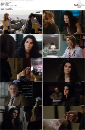 Rizzoli and Isles 2010 S01-S07 1080p NF WEB-DL DDP5.1 AV1-Vialle