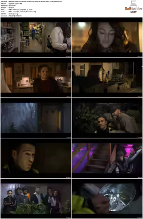 Brassic 2019 S01 2160p NF WEB-DL DDP5.1 H265-KRATOS