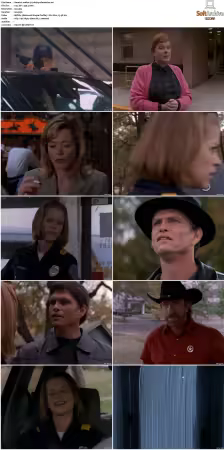 Walker Texas Ranger S01-S09 DVDRip XviD-Mixed