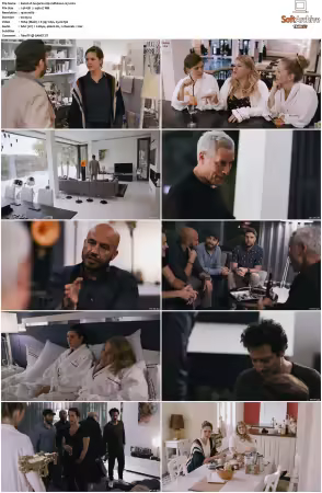 Jerks S01 S05 German 1080p WEB H264-Mixed