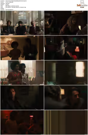 Vinyl S01 1080p BluRay HEVC 6CH x265